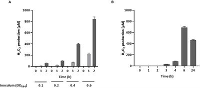 Streptococcus pluranimalium 2N12 Exerts an Antagonistic Effect Against the Swine Pathogen Actinobacillus pleuropneumoniae by Producing Hydrogen Peroxide